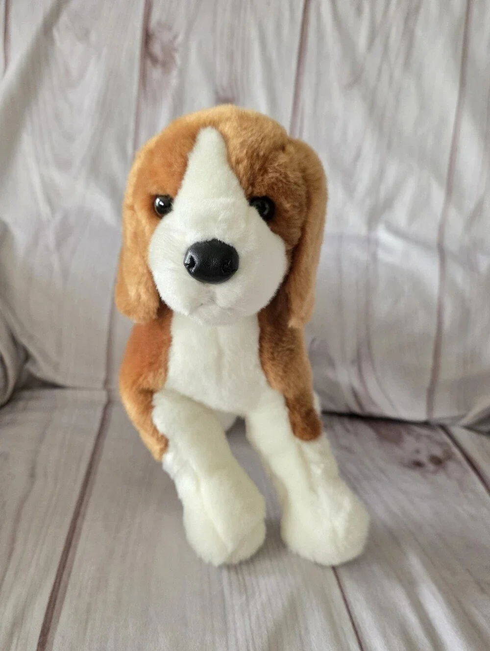 Douglas bernie beagle
